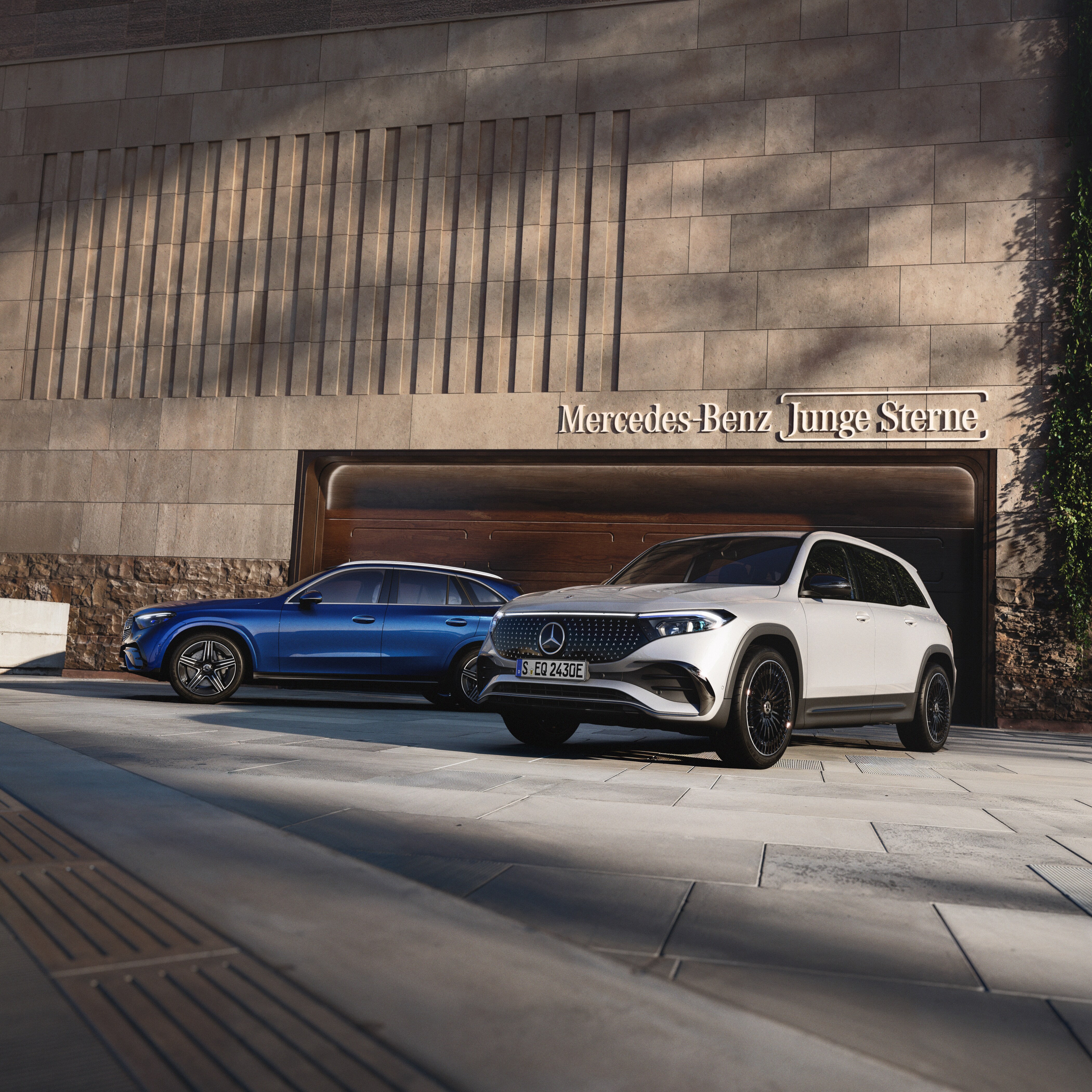 Junge Sterne zu Top-Konditionen