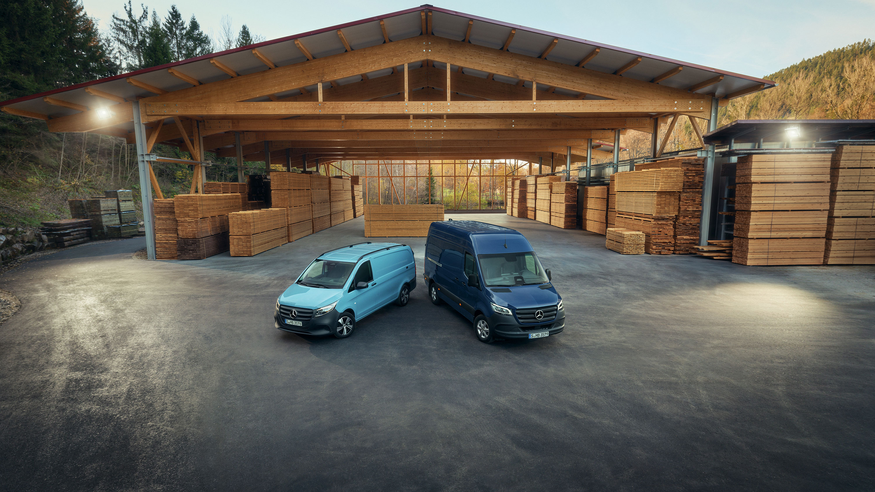Vito und Kastenwagen