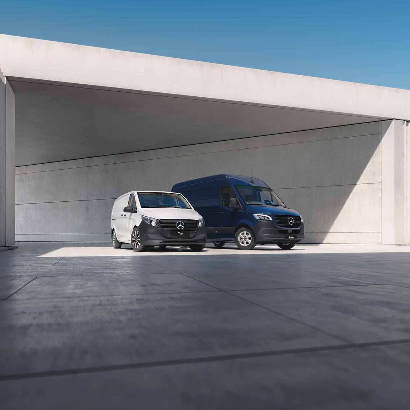 Drei Mercedes-Vans