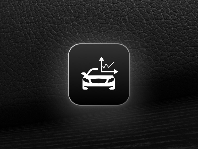 Es wird das Icon für den Basisdienst Fahrzeugferndiagnose gezeigt.