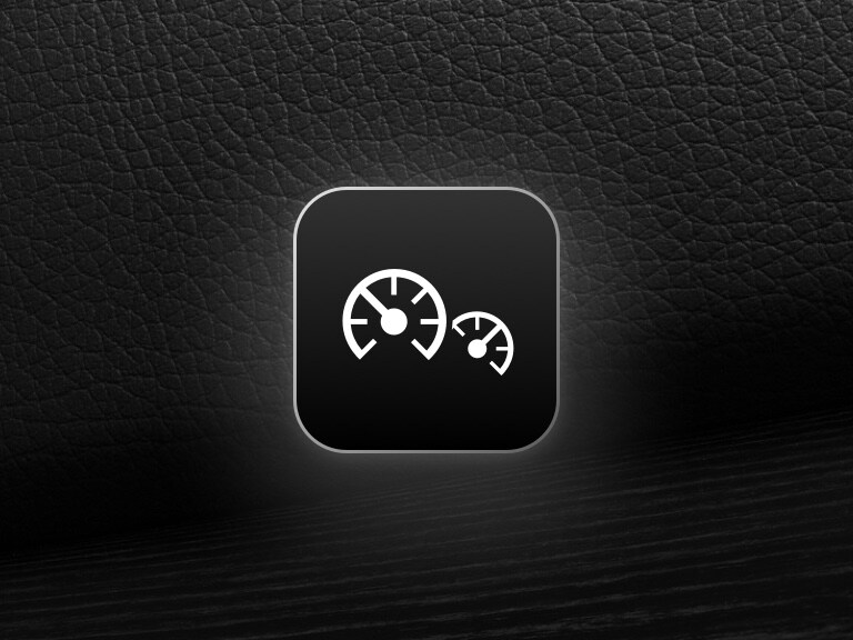 Es wird das Icon für den Basisdienst Fernabfrage Fahrzeugstatus gezeigt.